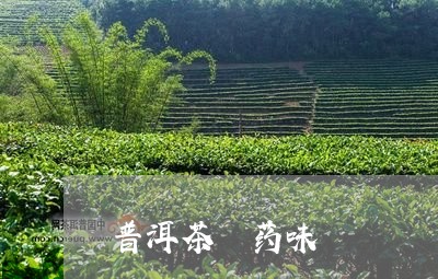 普洱茶 药味/2023042946672